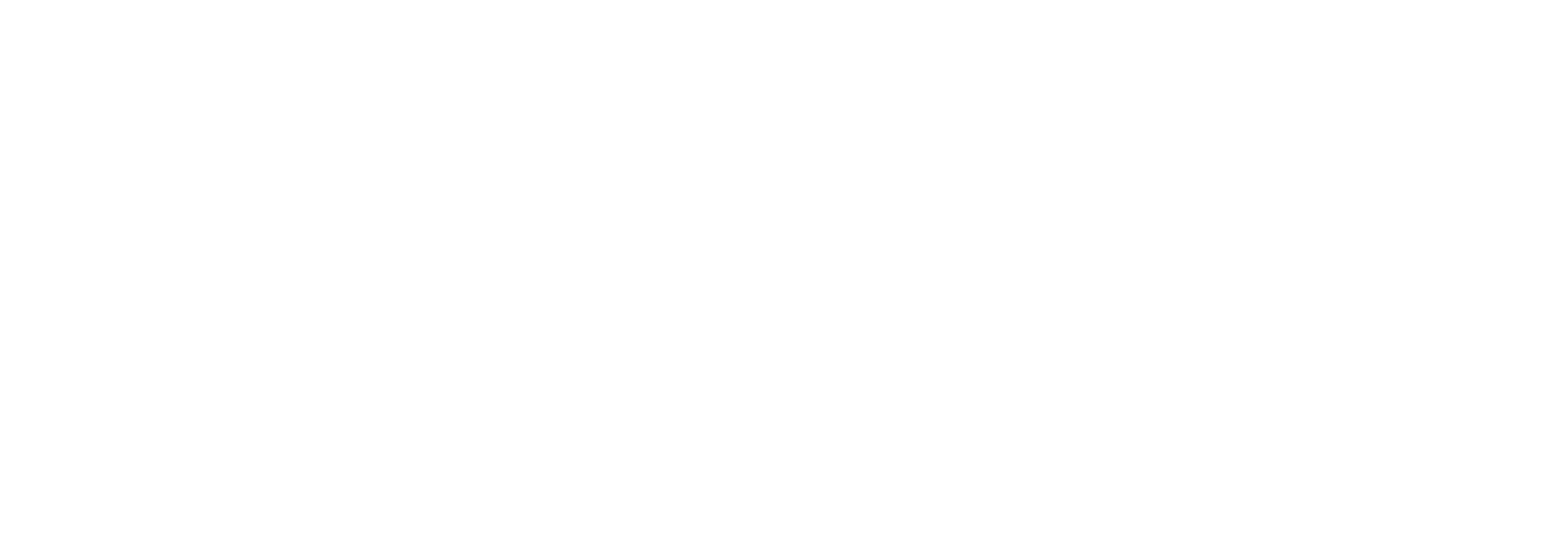 Smart WebView Logo